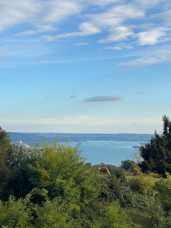 La Garconnierre Del Lago Maggiore Nebbiuno Eksteriør billede